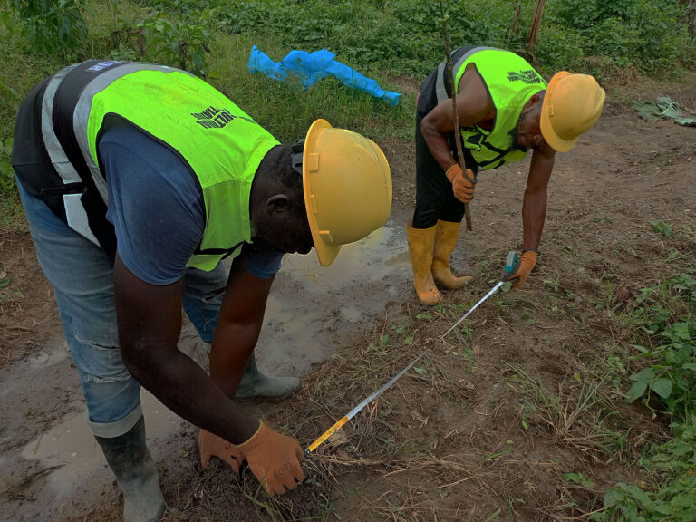 THE BEGINNING OF OUR PERMACULTURE JOURNEY